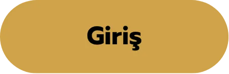 Giriş